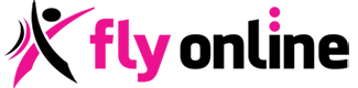 Fly Online LLC